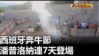 西班牙奔牛節 潘普洛納連7天登場 |【民生八方事】| 2025071305 | 八大電視台