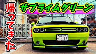 【アメ車】サブライムグリーンなダッジ・チャレンジャーの愛車取材 No.205