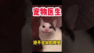 宠物医生绝不会说的秘密  #科学养宠攻略 #萌宠百科