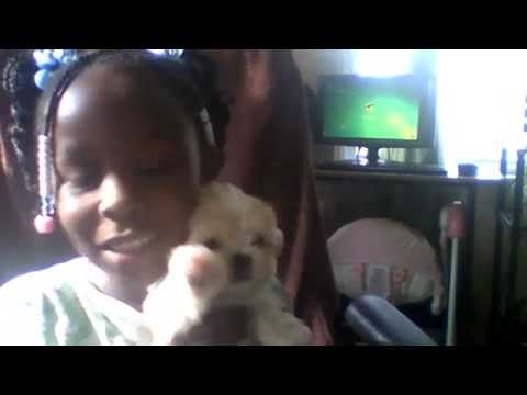 my new puppy so cute
