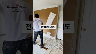 전세집에 칠할수있는 페인트가 있다고요? #셀프인테리어 #집꾸미기 #꿀템