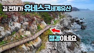 🚈표 구하기 어려운 바다 열차! 동해바다 최고의 해안 절벽 비경 여행지! 🚗60% 택시할인까지!