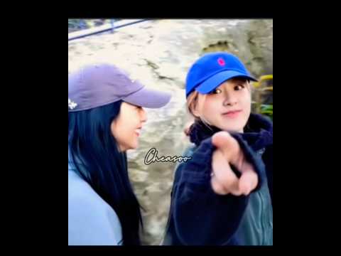 Hello Blinks #shortsvideo #blackpinkshorts #parkchaeyoung #rosé #blink #kimjisoo #cheasoo
