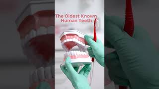5 Crazy Facts You Won’t Believe Are True! 🤯
