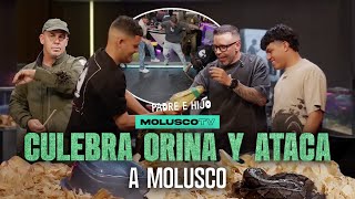 Ocean aprende a capturar Culebras y MEA A MOLUSCO/ Caimanes y Tarantulas con Gongo y Tnte Atiensa