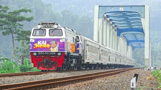 KERETA API PANJANG‼️ MENEMUKAN 17 KERETA API PANJANG DI JEMBATAN DAN PERLINTASAN