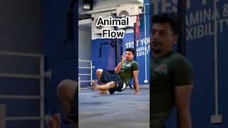 💪🏼Power - strength - flexibility 🔥animal flow workout #shortsviral #calisthenics #animalflow
