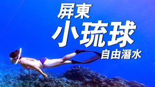 最水最辣的企劃！但考了兩次AIDA還是拿不到自由潛水的證照？AIDA2到底有多難？｜一輪的運動日常  ft. Om Space #小琉球 #自由潛水