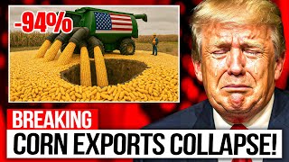 U.S. Corn Exports COLLAPSE — 94% Wiped Out in MASSIVE Crash