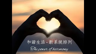 和諧 • 新系統排列 回顧20200824伴侶關係的提升