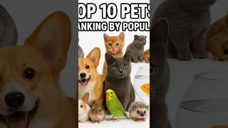 Top 10 pets | Pet ranking by popularity #pets