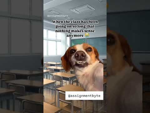 When the class has been going on so long that nothing makes sense anymore #memes