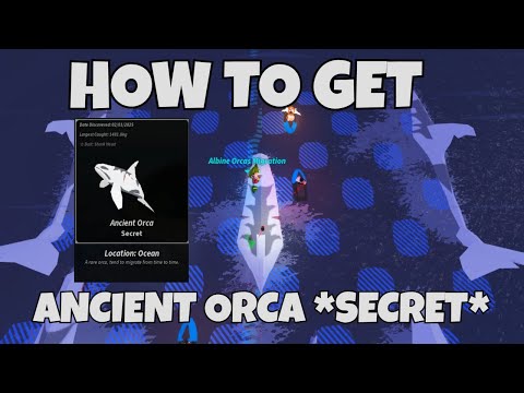 How To CATCH *SECRET* ANCIENT ORCA! | Fisch Roblox