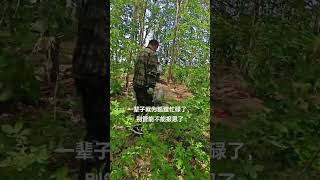 相聚就是缘分最后帮你们一次了。 #人与动物和谐共处 #野生动物零距离 #狐狸 #狐狸 #pets #狐兄弟 #狐狸 #狐兄弟 #cute #人類迷惑行為 #野生动物零距离 #animals