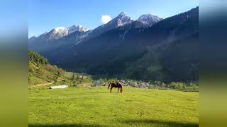 Operation Sindoor: India's Bold Response to Terrorist Attacks in Pahalgam