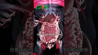 豆類是一種營養豐富、熱量低的食物，適合減肥和保健的人食用#艾門享受健康計畫 #飲食計畫 #減肥 #瘦身 #健康  #蔬果漾 #優菌多 #亮妍肌漾