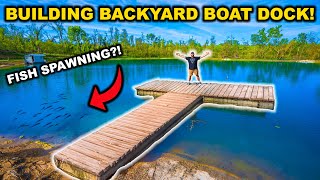 Building a GIANT BOAT DOCK in the BACKYARD POND!!! (Stocking Shiners, Bass Spawning, and MORE)