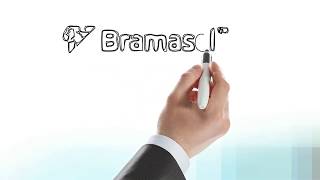 Bramasol Customer Story Electronic Design Automation