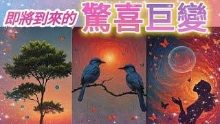 五月塔羅占卜：🔮即將到來的驚喜巨變🚀宇宙為你準備了怎樣驚喜和轉變🥳你人生中的哪些方面即將發生質的飛躍☀️你的哪些夢想即將顯化⭐️以及來自宇宙的重要的指引💌