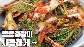 [봄동겉절이] 화사한 고추청 특제양념으로 입맛 살리는 봄동 양념 레시피