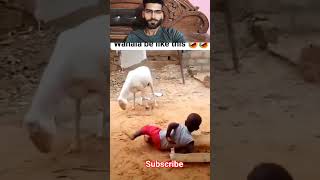 Epic Fail Compitition 2025😝// #hilariousfails #funny #fail #epicfails #afv