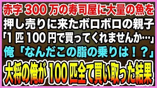 【総集編｜感動する話】赤字300万の寿司屋に大量の魚を押し売りに来たボロボロの親子「1匹100円で買ってくれませんか…」俺「なんだこの脂の乗りは！？」大将の俺が100匹全て買い取った結果【泣ける話