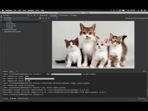 Cat Face detection using open CV and python | face detection using Python and computer vision
