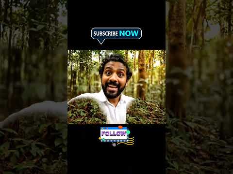 AI VIDEO - EVS unit 1 - ജീവികളും ചുറ്റുപാടും #AI #aimalayalam #aivideo #ecosystem #viral #viralvideo