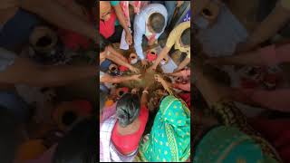 মোৰ মাটি মোৰ দেশ🥰🥰🥰🥰🥰