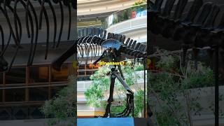 Dinosaurs | @earthly444 | #facts #shorts #shortvideo #dinosaur #dinosaurus #didyouknow #wildlife