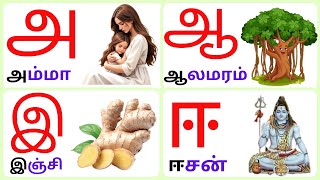 Uyirezhuthukal|அஆஇஈஉஊஎஏஐஒஓஔ| உயிர் எழுத்துக்கள்| @KuttyChuttyTv