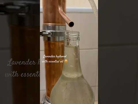 I enjoy making hydrosol – from cutting lavender in the garden to watching it drip into the bottle.💜