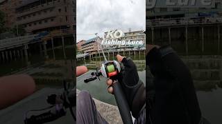 Ko Fishing Lure ช่วยได้กับวันที่เงียบๆ #fishing #fishingvideo #daiwa #fishinglife #fish #ตกปลา