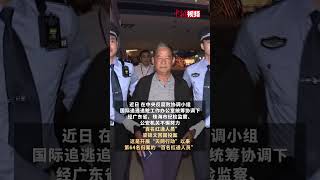 外逃28年 “百名红通人员”梁锦文回国投案