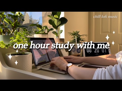 one hour study with me, chill lofi music