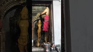 🙏காலபைரவர் அபிஷேகம்🙏 #shorts #short #viral #kaalabhairava #god   #காலபைரவர்  #பைரவர் #shortvideo