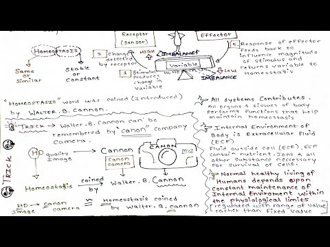 Homeostasis (Part-2) .