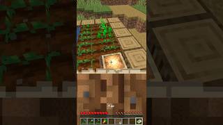 Minecraft Secret Area #shorts #minecraft