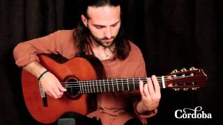 Cordoba Guitars - C7-CE Cedar