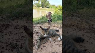 Amazing Video Best SokYaa,Sokhaa, Pao & Mom Are Famous Around The World #shorts