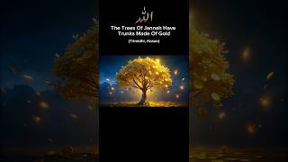 Lesser Known Facts About Jannah! #allah #religion #islam #rustumkashafsbrother #jannah #facts #love