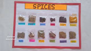 School Project Spices | Indian Spices school project work |Spices activity For kids |