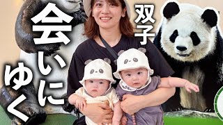 双子の赤ちゃん、はじめてのテーマパークでパンダと対面！【生後６ヶ月】