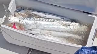6 Hours of Fishing Power! 🎣 Saturday July 26th Offshore on Reel Deal II