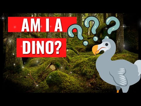 Is the Dodo a Dinosaur? Exploring the Truth About this Extinct Bird