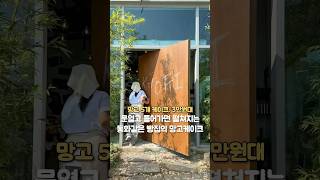 망고5개 통으로 들어간 망고폭탄 케이크가 39900원