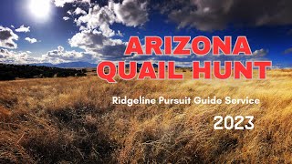 Bird dogs and Mearn’s Quail