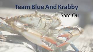 HACC17 Team Blue And Krabby