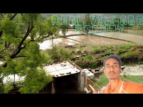 Village Beauty Of Dariba/Real Nutural beauty of village/ GAAV ki Sher/ Gaanv Ka Barish Ka Mousam