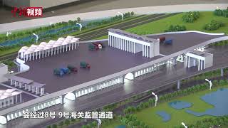 探访海南自贸港“二线口岸”：监管高效精准 口岸快速通关